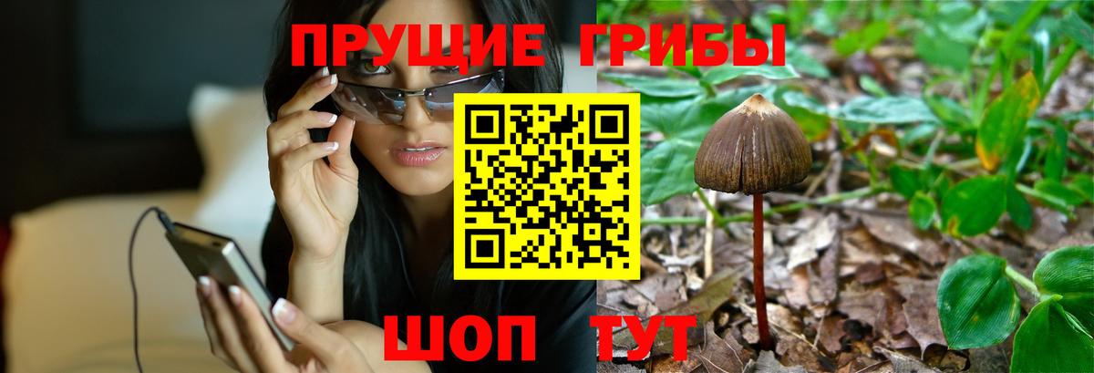 Псилоцибиновые грибы мухоморы  Вход с VPN  продажа наркотиков  Тельмана 